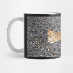 a red cat on the beach Mug